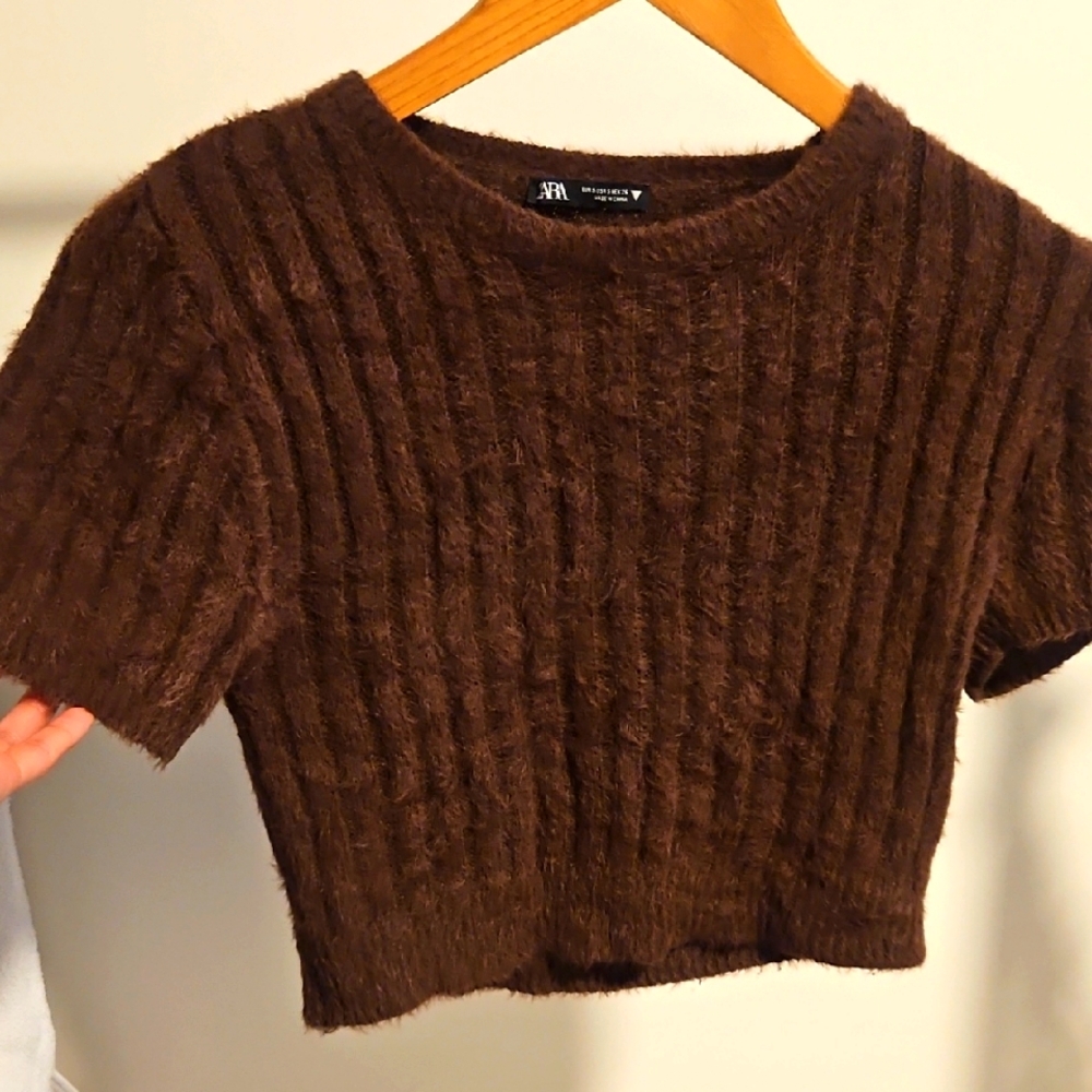 Zara Brown Fuzzy Knit Crop Top
